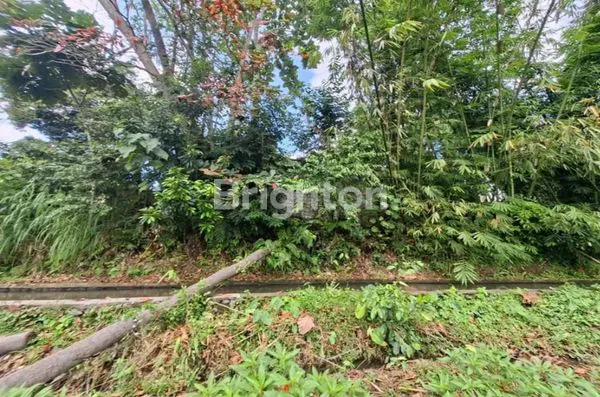 image TANAH SEWA UBUD SINGAPADU (6)