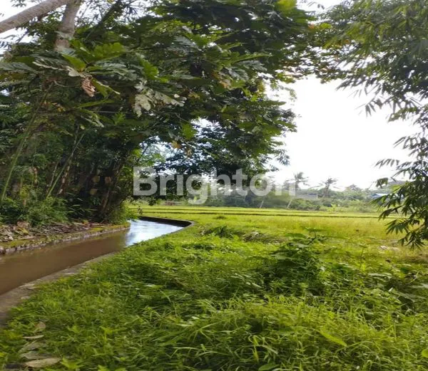 image TANAH SEWA UBUD SINGAPADU (7)