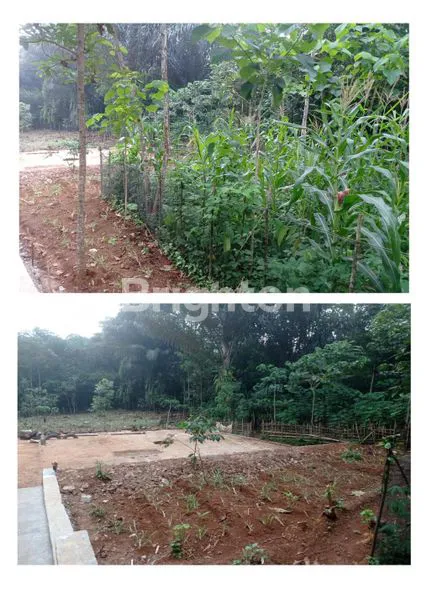 image JUAL TANAH BONUS RUMAH  DI TAMAN SARI SUMEDANG (6)