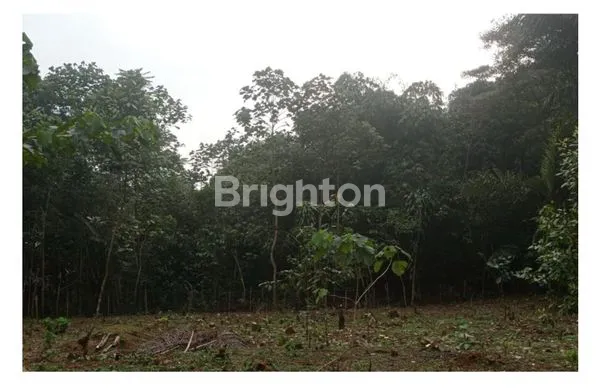 image JUAL TANAH BONUS RUMAH  DI TAMAN SARI SUMEDANG (7)