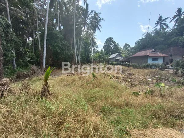 image DIJUAL TANAH LOKASI STRATEGIS DI DENBATAS TABANAN (5)