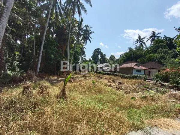 image DIJUAL TANAH LOKASI STRATEGIS DI DENBATAS TABANAN (8)