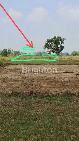 image TANAH BURNEH BANGKALAN MADURA (3)