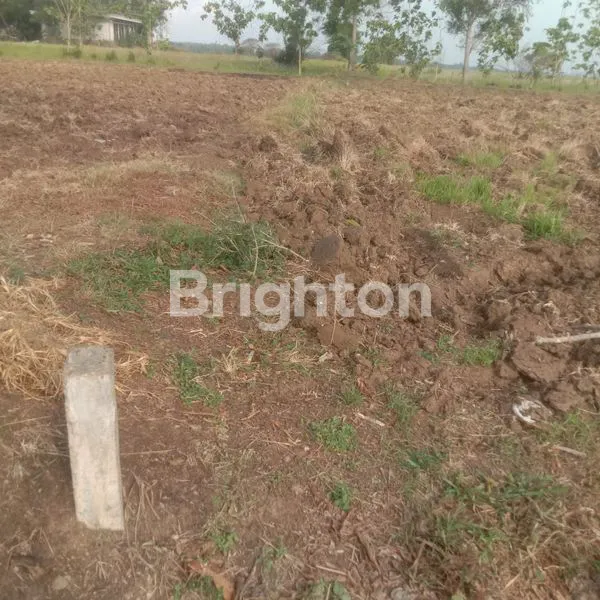 image TANAH BURNEH BANGKALAN MADURA (6)