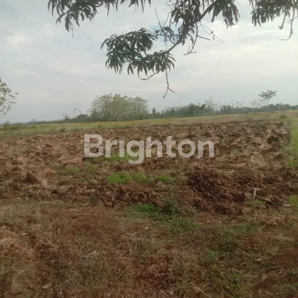 image TANAH BURNEH BANGKALAN MADURA (5)