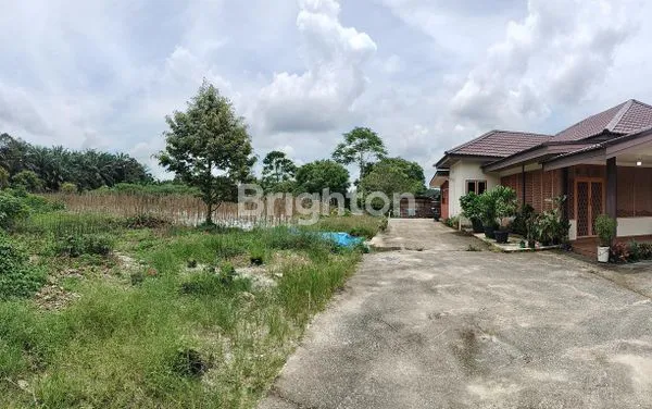 image TANAH LUAS DI SIMPANG BINGUNG RUMBAI (2)