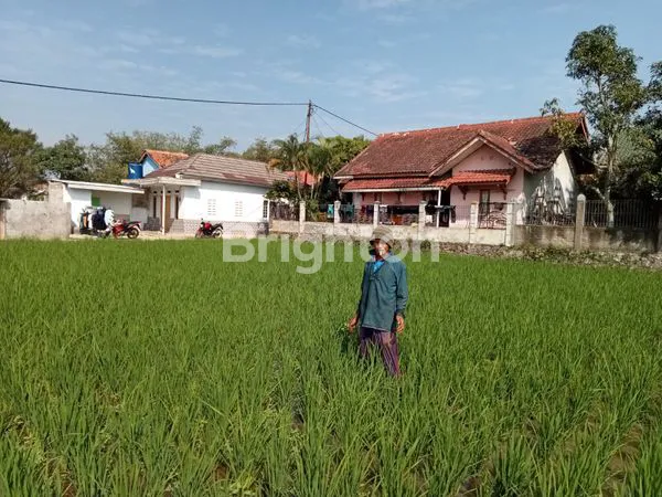 image TANAH KAVLING PINGGIR JALAN CIANJUR SUKABUMI  (6)