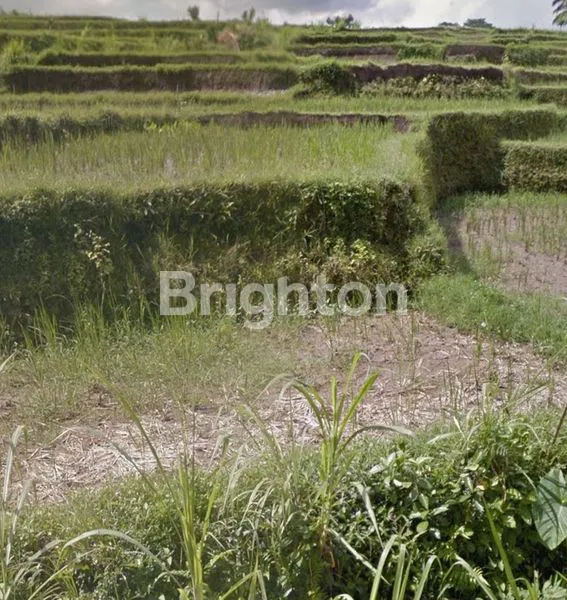 image TANAH KOSONG KEMENUH KELIKI (2)