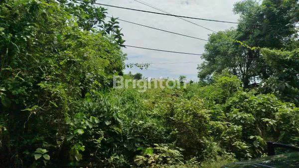 image TANAH MURAH 14.26 ARE  KRAMAS  200 METER DARI IB MANTRA 7 MENIT PANTAI PERING (6)