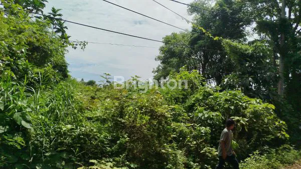 image TANAH MURAH 14.26 ARE  KRAMAS  200 METER DARI IB MANTRA 7 MENIT PANTAI PERING (4)