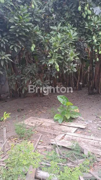 image RUMAH TANAH STRATEGIS DI SLG (7)