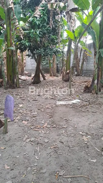 image RUMAH TANAH STRATEGIS DI SLG (5)