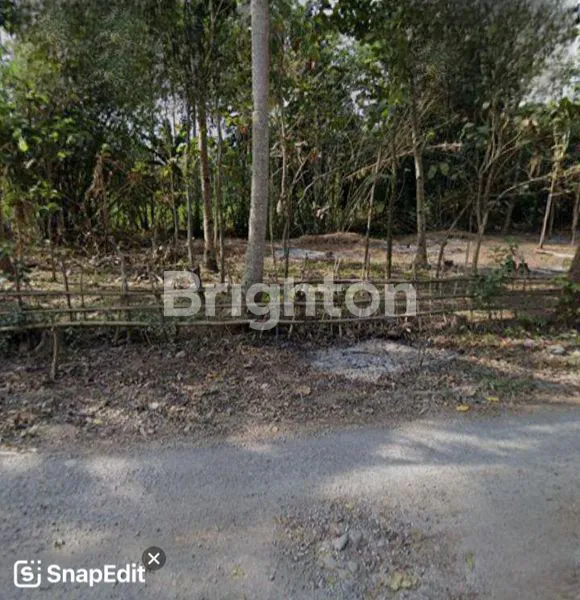 TANAH PULAU MERAH BANYUWANGI