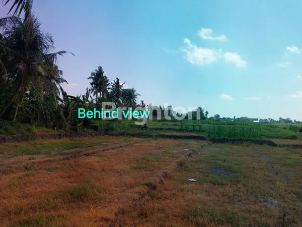 image TANAH DIJUAL 10 ARE DI DESA NYAMBU BUWIT  TABANAN BALI (3)