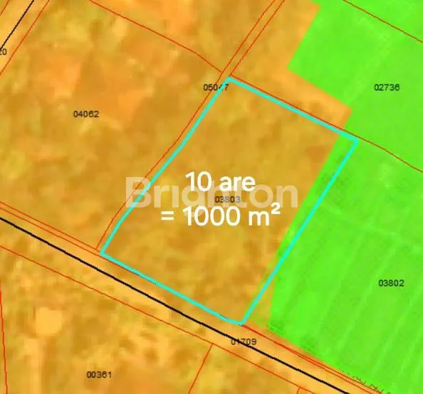 image TANAH DIJUAL 10 ARE DI DESA NYAMBU BUWIT  TABANAN BALI (5)