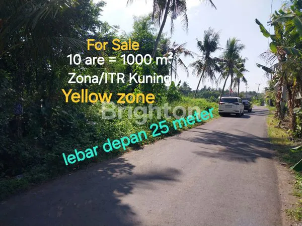 image TANAH DIJUAL 10 ARE DI DESA NYAMBU BUWIT  TABANAN BALI (1)