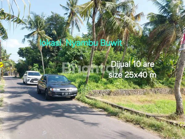 image TANAH DIJUAL 10 ARE DI DESA NYAMBU BUWIT  TABANAN BALI (4)