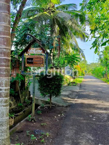 image TANAH PINGGIR JALAN DEKAT STASIUN BANYUWANGI KOTA (5)