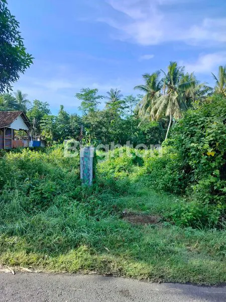 image TANAH PINGGIR JALAN DEKAT STASIUN BANYUWANGI KOTA (2)