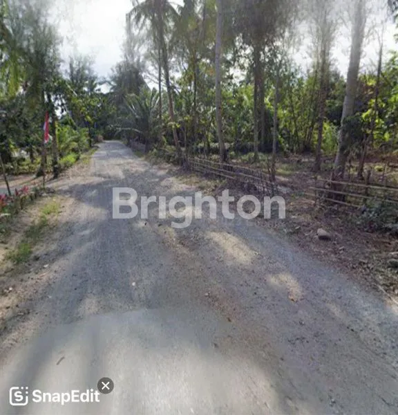 image TANAH PULAU MERAH BANYUWANGI (2)