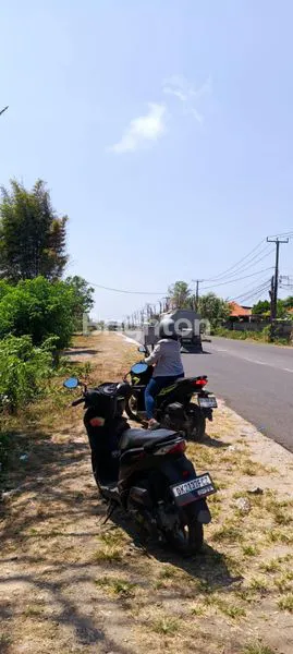 image SEWA TANAH 930M² KUTUH (2)