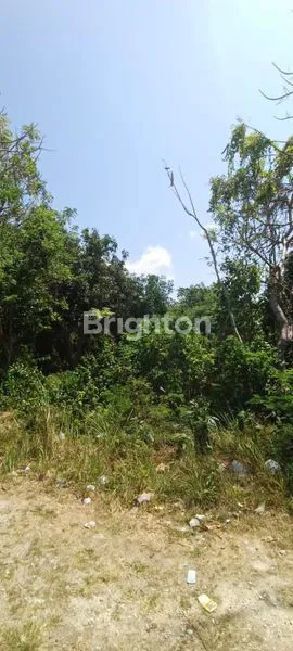 image SEWA TANAH 930M² KUTUH (4)