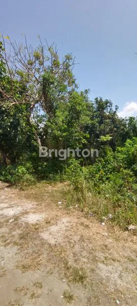 SEWA TANAH 930M² KUTUH