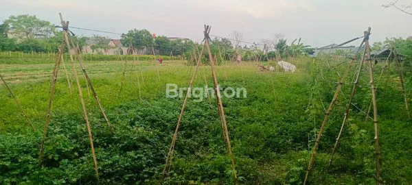 image JUAL TANAH PINGGIR JAKAN KEDUA BISA UNTUK POOL TRUCK, GUDANG DAN PERUMAHAN DEKAT BEKASI DAN MARUNDA (3)