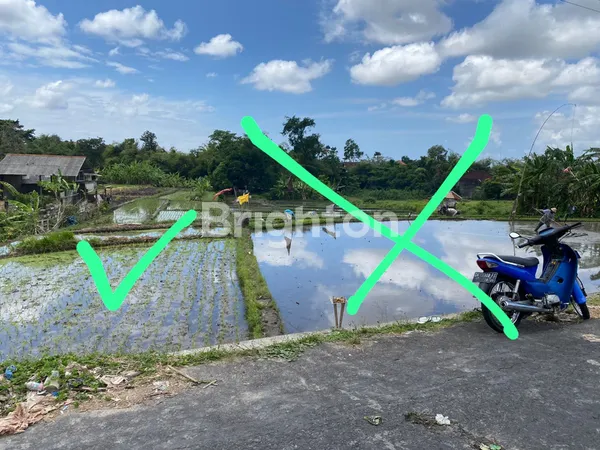 image TANAH INVESTASI STRATEGIS DI KEROBOKAN KUTA UTARA (3)