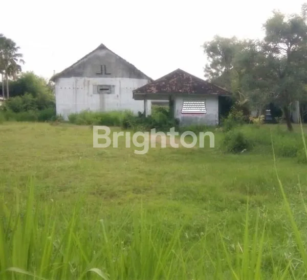 image RUMAH WALET HITUNG TANAH BALI (1)