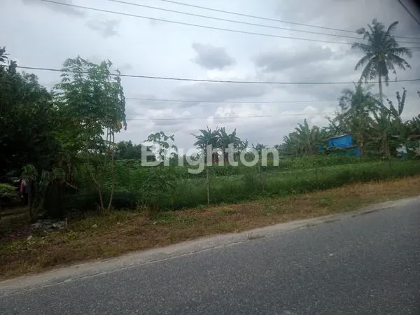 image TANAH KOMERSIL 6 HA PINGGIR JALAN RAYA PASIR PUTIH - PANGKALAN BARU (2)