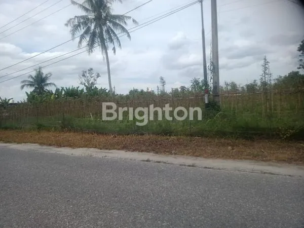 image TANAH KOMERSIL 6 HA PINGGIR JALAN RAYA PASIR PUTIH - PANGKALAN BARU (1)