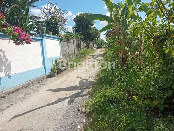 JUAL TANAH GUANG GIANYAR