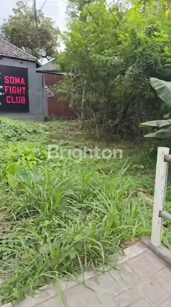 image JUAL TANAH TIBUBENENG CANGGU LOKASI SANGAT STRATEGIS (1)