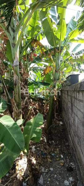 image TANAH DI SEWAKAN (1)