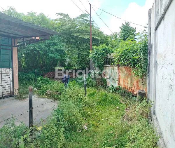 image TANAH DI DURIAN (2)