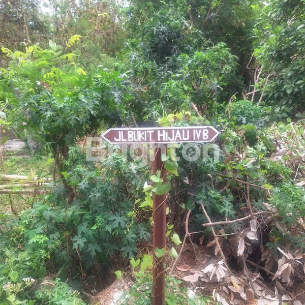 image TANAH PREMIUM 200M² SHM DI BUKIT HIJAU JIMBARAN - AREA VILLA ELITE (5)