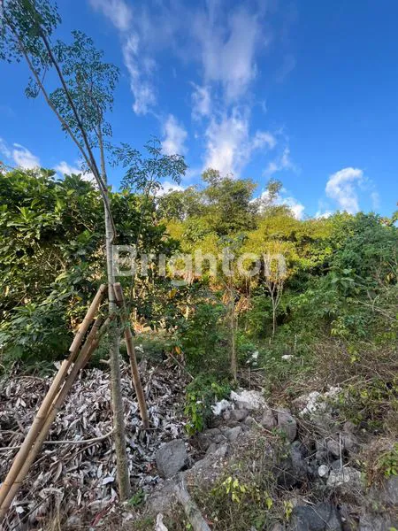 image TANAH PREMIUM 200M² SHM DI BUKIT HIJAU JIMBARAN - AREA VILLA ELITE (3)