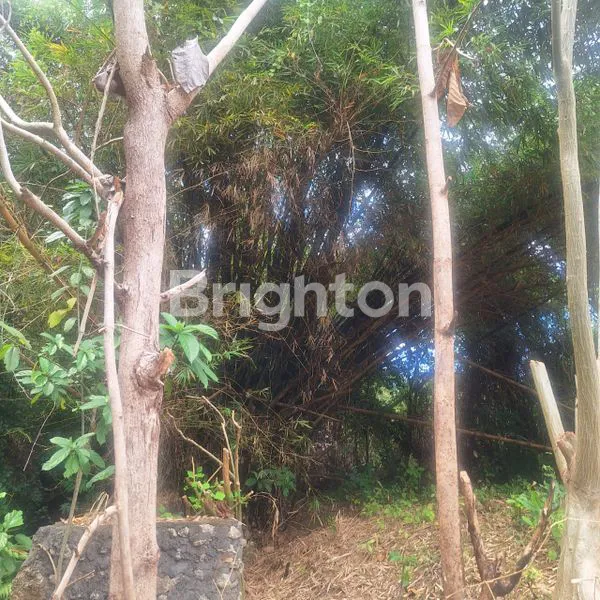 image TANAH PREMIUM 200M² SHM DI BUKIT HIJAU JIMBARAN - AREA VILLA ELITE (4)