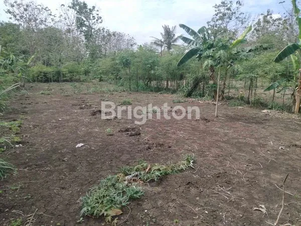 image PEKARANGAN ZONA INDUSTRI  (2)