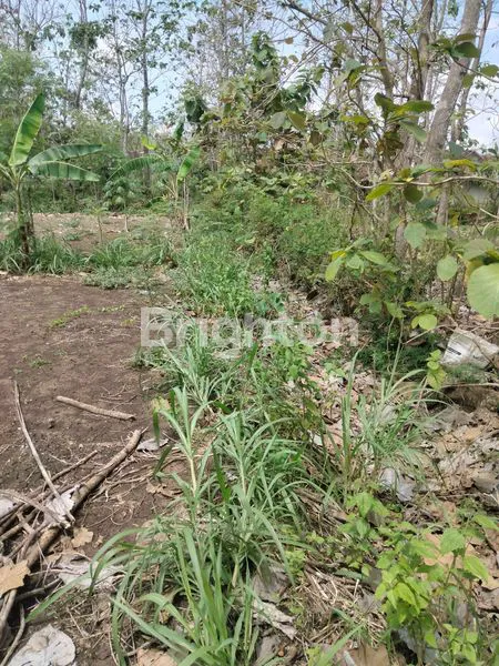 image PEKARANGAN ZONA INDUSTRI  (3)