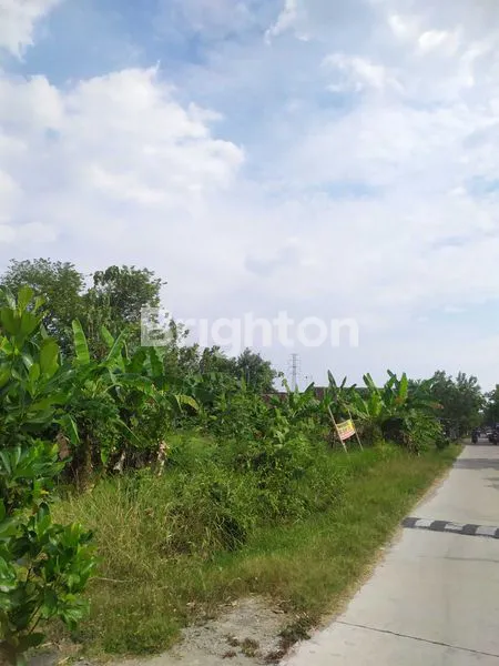 image DIJUAL TANAH JALAN MOJORAYUNG (1)