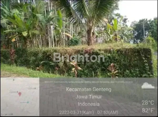 image TANAH JAWA TIMUR (7)