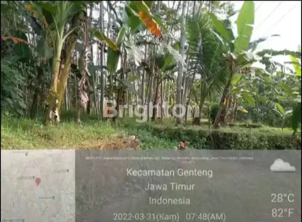 image TANAH JAWA TIMUR (2)