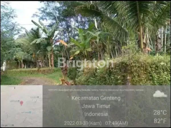 image TANAH JAWA TIMUR (1)