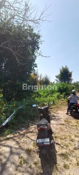 image TANAH DI SEWAKAN DI JLN NUSA DUA (2)