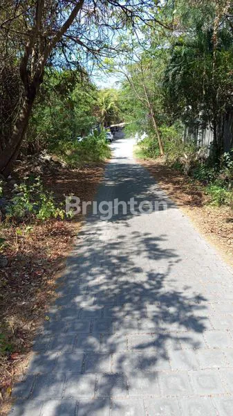 image RUMAH JUAL  (3)