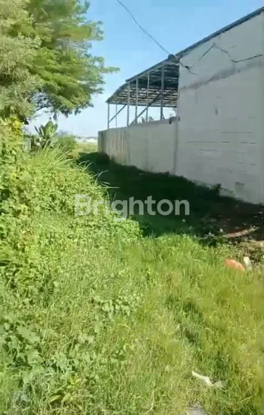 image TANAH DIJUAL (4)