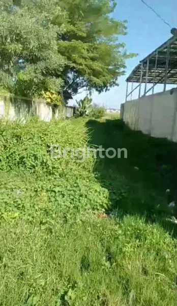 image TANAH DIJUAL (5)