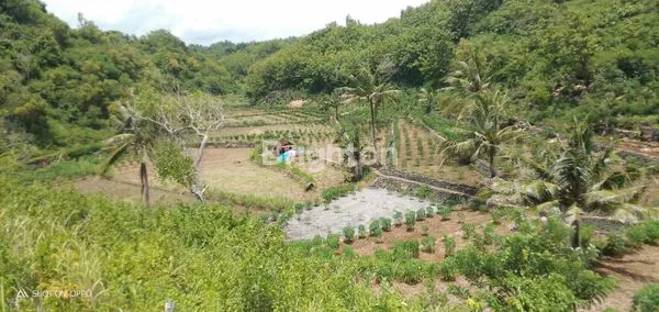 image LAHAN POTENSI WISATA DAN TAMBAK AIR PAYAU (7)
